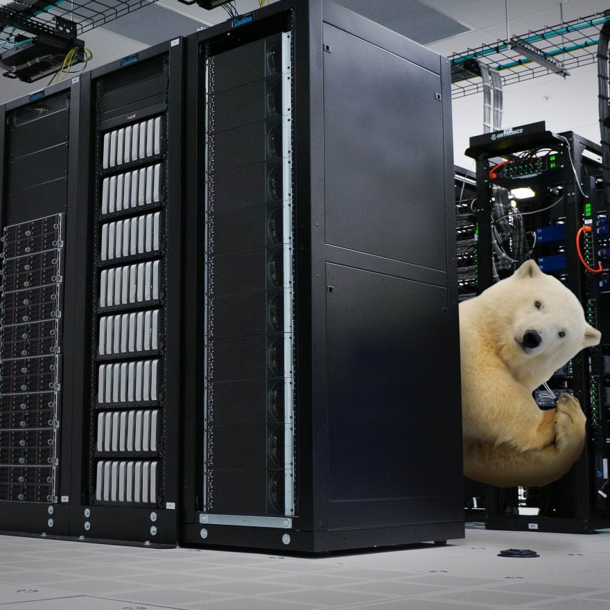 Polar bear in a data centre